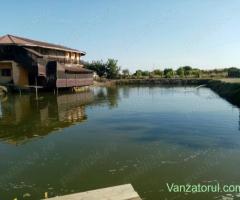 vand casa pensiune cu helesteu aproape de Timisoara-locatie excelenta!