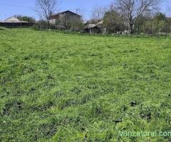 Teren intravilan 1402 mp Dulcești (23 August) | Asfalt | Utilități la gard