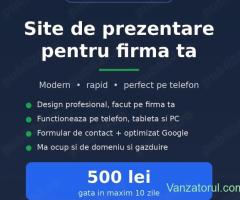 Servicii IT