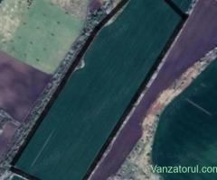 Teren extravilan 104000 mp la Asfalt in Pischia
