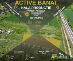 Hala | Spatiu pentru productie depozitare distributie