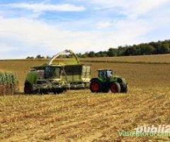 Vand teren agricol Timisoara 1630 ha