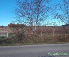 Teren INTRAVILAN - 3000 m2