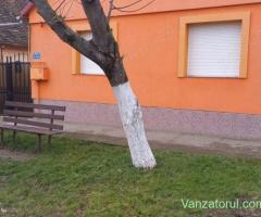 Vand casa in Giarmata Mare
