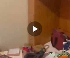 publi24