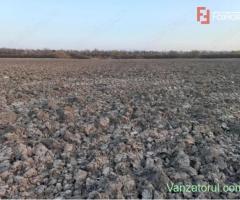 Oportunitate dezvoltare rezidentiala| 4.816 mp | Ghiroda
