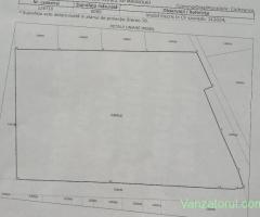 Vânzare teren intravilan agricol în Comuna Corbeanca