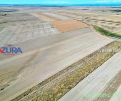 Teren agricol • Vanzare, cumparare, anunturi, preturi