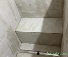 Execut lucrari profesionale