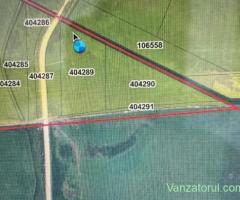 Vand 1 h de teren la 8km de Timisoara inainte de Sanandrei