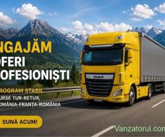 Angajam sofer profesionist tur-retur RO-FR-RO