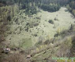 Teren intravilan in Brasov