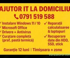 Servicii IT