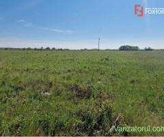 Teren de 5000 mp de vanzare in Mosnita Veche