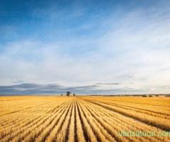 PORTOFOLIU AGRICOL PREMIUM 3.000 HA SUDUL ROMÂNIEI OPORTUNITATE INVESTIȚIONALĂ