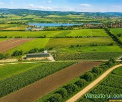 FILM! 18.000 mp, extravilan, agricol+ constructii:ferma,investitii agricole, Rotbav, Brasov