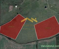 Sacalaz-Zona Industrială II-Disponibilitate Imediata