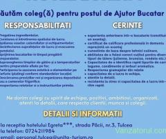 Bucatar • 500+ Joburi, locuri de munca