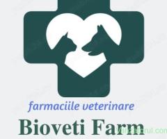 Angajam coleg medic veterinar