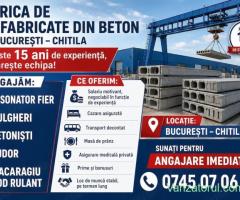 FABRICA de PREFABRICATE din Chitila angajeaza Fasonator Sudor Betonisti Dulgheri Macaragiu