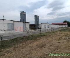 De vânzare fermă avicolă – Salonta, județul Bihor