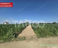 Teren intravilan 2000 mp si extravilan 1150 mp de vanzare in Vad