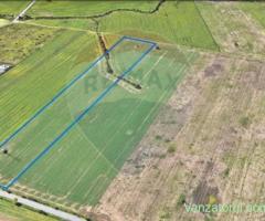Teren comercial 5 ha, PUZ aprobat, acces direct Centura Nord Arad