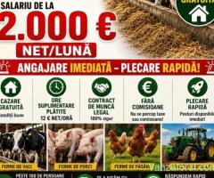 Ferma nemtesca cauta ingrijitor la ferma de animale in GERMANIA