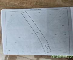 Teren intravilan și casa veche de vanzare