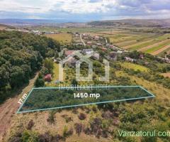 Teren intravilan – 1.450 mp | Jucu de Sus, marginea pădurii