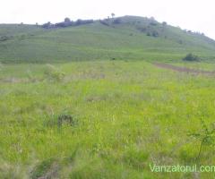 teren strada Stejarului-Floresti