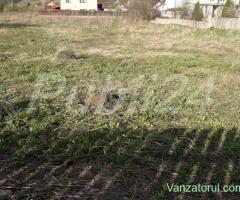 Particular, vand teren Sanpetru