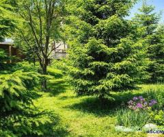 Locatie cu patru anotimpuri intr- o zi, incadrata de 2.350 teren, Bran - Fundata, Brasov