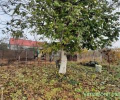De vanzare casa in Plopi, 200000 euro negociabil