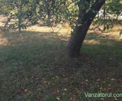 Padure și Gradina