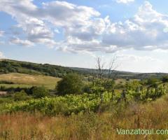 Teren 1500 Mp intravilan, Uileacu de Munte,Bihor