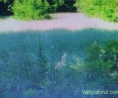 Teren extravilan - faneață în Bănești, zona pădurii 1144 mp