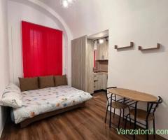 Regim Hotelier Apartament Centru Arad