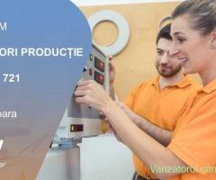 Manpower angajeaza OPERATORI PRODUCTIE in Timisoara