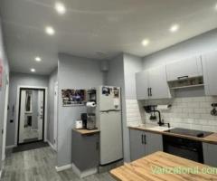 Apartament cu 1 camera de inchiriat in zona Braytim