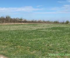 Teren de vanzare