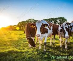Locuri de muncă la ferme în Germania
