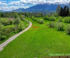 Teren intravilan 500 mp in zona Bran Tohanita