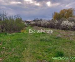 Teren Topoloveni - 3670 mp - langa padure, aproape de Centrul orasului