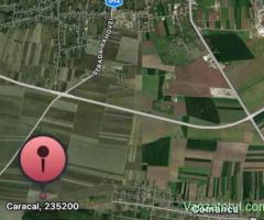 teren extravilan caracal olt