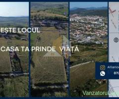 Teren de Vânzare Aleea Trifoiului - O Investiție în Viitorul Tău.