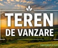 Teren - Mosnita Veche - Doua fronturi stradale