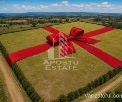 Parcele PUZ industrial 23,5 ha |17 euro+TVA| zona Nord Timișoara