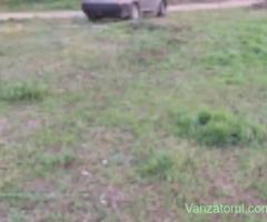 Particular OCAZIE! Vand Teren Intravilan C. Constructii. Casa mult vista! Cu toate utilitatlle!