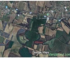 Proprietar inchiriez teren la 5 km de Timisoara